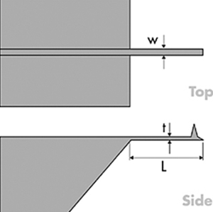 TESP-V2-SS Tip Image Schematic