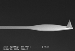 PFMFM-LM Cantilever Image